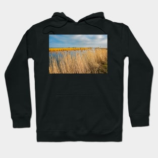 View over the River Yare in Acle on the Norfolk Broads Hoodie